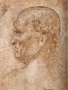 LEONARDO da Vinci Master of the Pala Sforzesca, profile of an old man painting